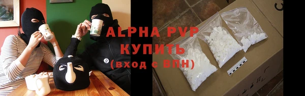 ПСИЛОЦИБИНОВЫЕ ГРИБЫ Богданович