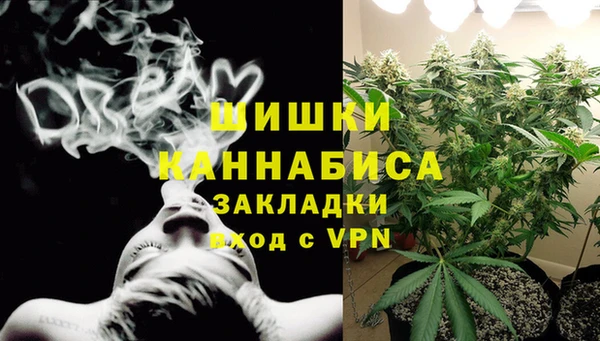 сатива Богородск
