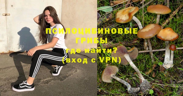 ECSTASY Беломорск