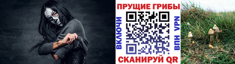 Галлюциногенные грибы Magic Shrooms  купить закладку  кракен онион  дарк нет какой сайт  Бологое 