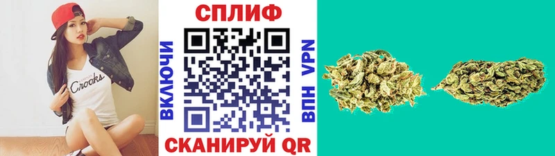 Бошки марихуана MAZAR  как найти закладки  Бологое 